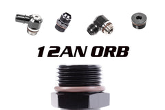 12AN ORB Fittings