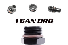 16AN ORB Fittings