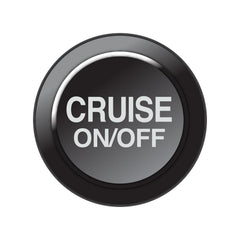Link-CAN Keypad Insert - Cruise On/Off-1