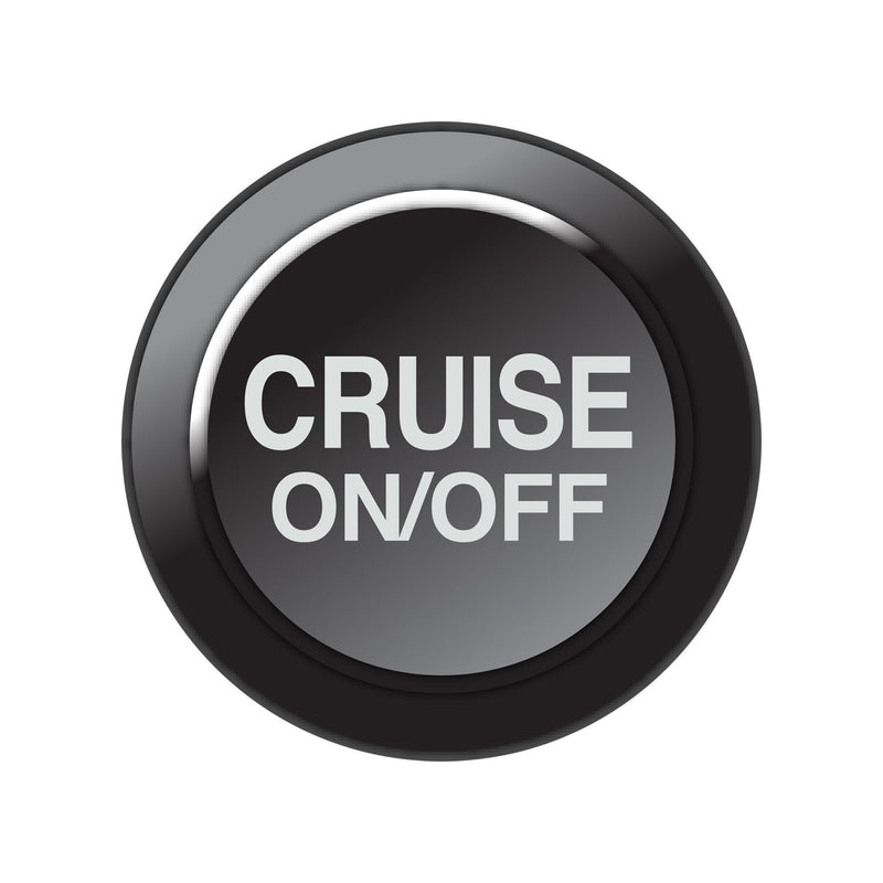 Link-CAN Keypad Insert - Cruise On/Off-1