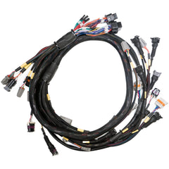 Link-Terminated Engine Harness GM LS GEN3/4-1