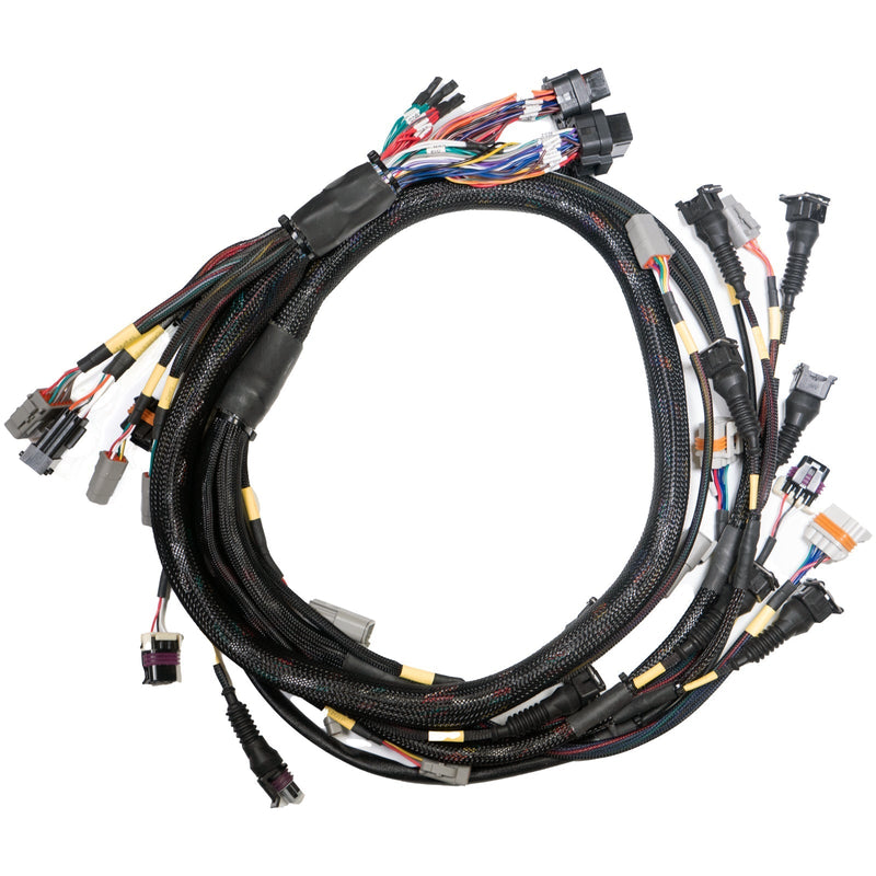 Link-Terminated Engine Harness GM LS GEN3/4-1