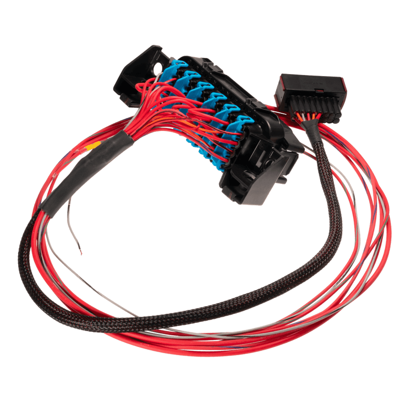 Link-LS Harness - Fuse and Relay Box-1